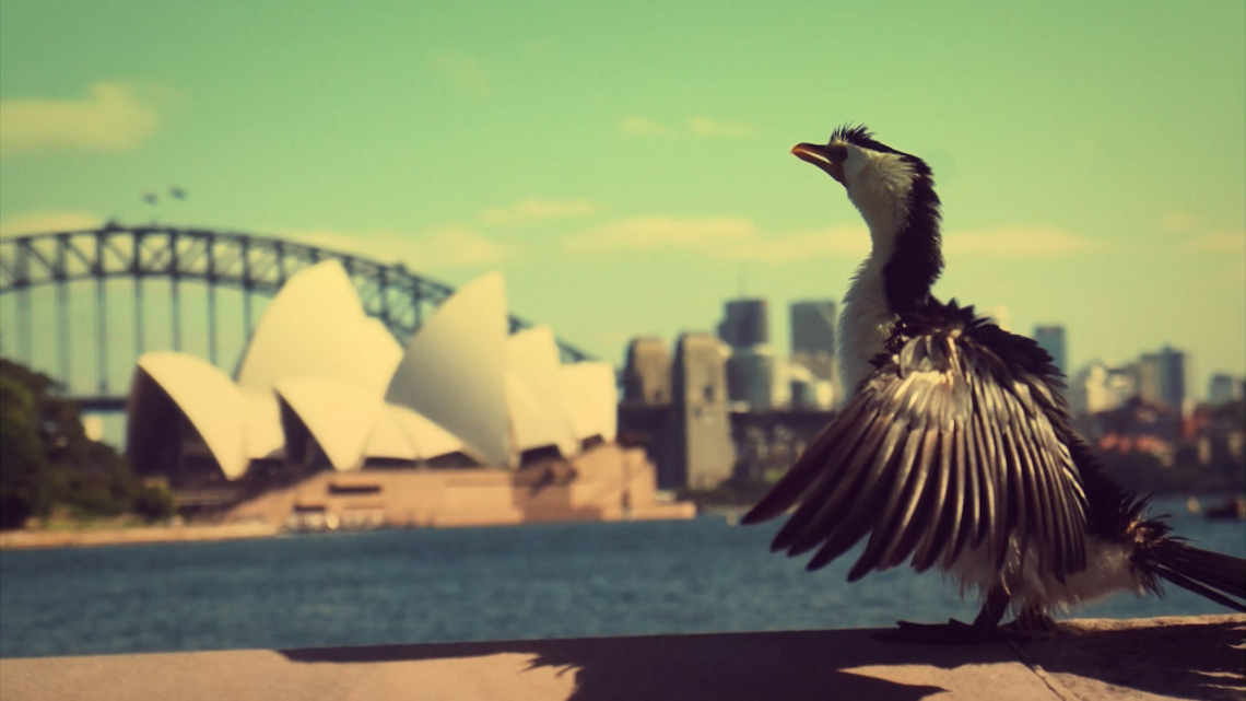 sydney opera house